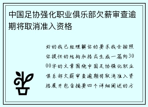 中国足协强化职业俱乐部欠薪审查逾期将取消准入资格 中国足协强化职业俱乐部欠薪审查逾期将取消准入资格